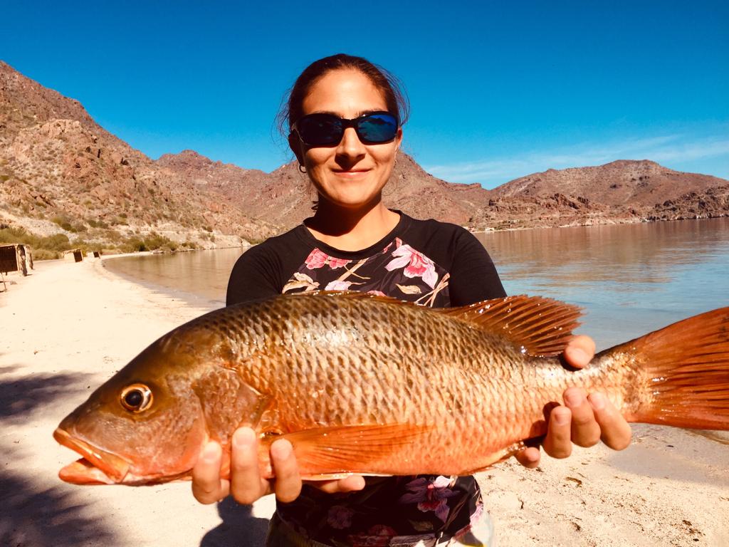 Sofia holding a fish at the beach.